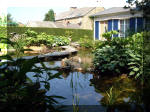 Le jardin aquatique de rve du Condroz - Printemps 2003 3  41 