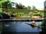 Le jardin aquatique de rve du Condroz - Printemps 2003 4  12 