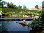 Le jardin aquatique de rve du Condroz - Printemps 2003 4  45 