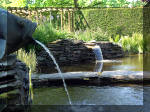 Le jardin aquatique de rve du Condroz - Printemps 2003 4  4 