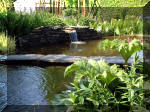Le jardin aquatique de rve du Condroz - Printemps 2003 4  3 