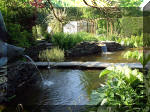 Le jardin aquatique de rve du Condroz - Printemps 2003 4  8 