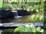 Le jardin aquatique de rve du Condroz - Printemps 2003 4  7 