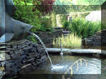 Le jardin aquatique de rve du Condroz - Printemps 2003 4  10 