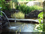 Le jardin aquatique de rve du Condroz - Printemps 2003 4  14 