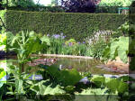 Le jardin aquatique de rve du Condroz - Printemps 2003 4  15 
