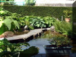 Le jardin aquatique de rve du Condroz - Printemps 2003 4  18 