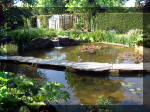 Le jardin aquatique de rve du Condroz - Printemps 2003 4  41 