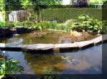 Le jardin aquatique de rve du Condroz - Printemps 2003 4  23 