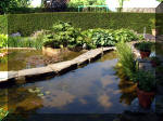 Le jardin aquatique de rve du Condroz - Printemps 2003 4  25 