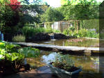 Le jardin aquatique de rve du Condroz - Printemps 2003 4  32 