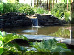 Le jardin aquatique de rve du Condroz - Printemps 2003 4  27 