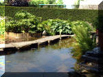 Le jardin aquatique de rve du Condroz - Printemps 2003 4  26 