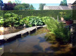 Le jardin aquatique de rve du Condroz - Printemps 2003 4  28 