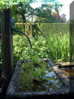 Le jardin aquatique de rve du Condroz - Printemps 2003 5  4 