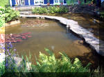 Le jardin aquatique de rve du Condroz - Printemps 2003 5  15 