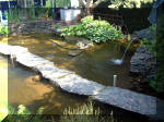 Le jardin aquatique de rve du Condroz - Printemps 2003 5  14 