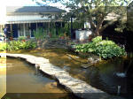 Le jardin aquatique de rve du Condroz - Printemps 2003 5  8 