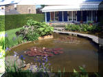Le jardin aquatique de rve du Condroz - Printemps 2003 5  10 