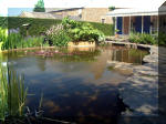 Le jardin aquatique de rve du Condroz - Printemps 2003 5  12 