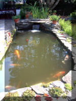 Le jardin aquatique de rve du Condroz - Printemps 2003 5  21 