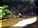Le jardin aquatique de rve du Condroz - Printemps 2003 5  35 