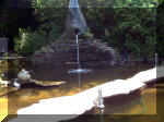 Le jardin aquatique de rve du Condroz - Printemps 2003 5  44 