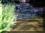 Le jardin aquatique de rve du Condroz - Printemps 2003 5  45 