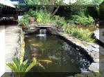 Le jardin aquatique de rve du Condroz - Printemps 2003 6  2 