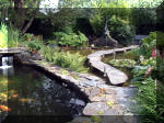 Le jardin aquatique de rve du Condroz - Printemps 2003 6  6 