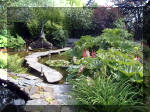 Le jardin aquatique de rve du Condroz - Printemps 2003 6  24 