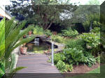 Le jardin aquatique de rve du Condroz - Printemps 2003 6  17 