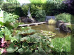 Le jardin aquatique de rve du Condroz - Printemps 2003 6  4 