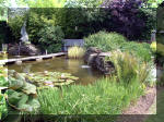 Le jardin aquatique de rve du Condroz - Printemps 2003 6  9 