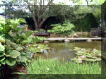 Le jardin aquatique de rve du Condroz - Printemps 2003 6  7 