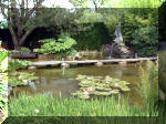 Le jardin aquatique de rve du Condroz - Printemps 2003 6  12 