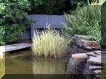 Le jardin aquatique de rve du Condroz - Printemps 2003 6  10 