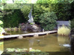 Le jardin aquatique de rve du Condroz - Printemps 2003 6  16 