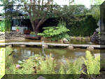 Le jardin aquatique de rve du Condroz - Printemps 2003 6  25 