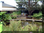 Le jardin aquatique de rve du Condroz - Printemps 2003 6  18 
