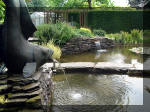 Le jardin aquatique de rve du Condroz - Printemps 2003 6  29 