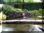 Le jardin aquatique de rve du Condroz - Printemps 2003 6  37 