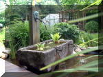Le jardin aquatique de rve du Condroz - Printemps 2003 8  11 