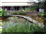 Le jardin aquatique de rve du Condroz - Printemps 2003 8  6 