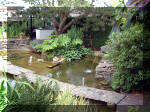Le jardin aquatique de rve du Condroz - Printemps 2003 8  9 