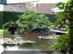 Le jardin aquatique de rve du Condroz - Printemps 2003 8  23 