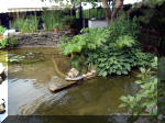 Le jardin aquatique de rve du Condroz - Printemps 2003 8  21 