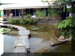 Le jardin aquatique de rve du Condroz - Printemps 2003 8  20 