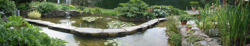 Le jardin aquatique de rve du Condroz - Printemps 2003  1 