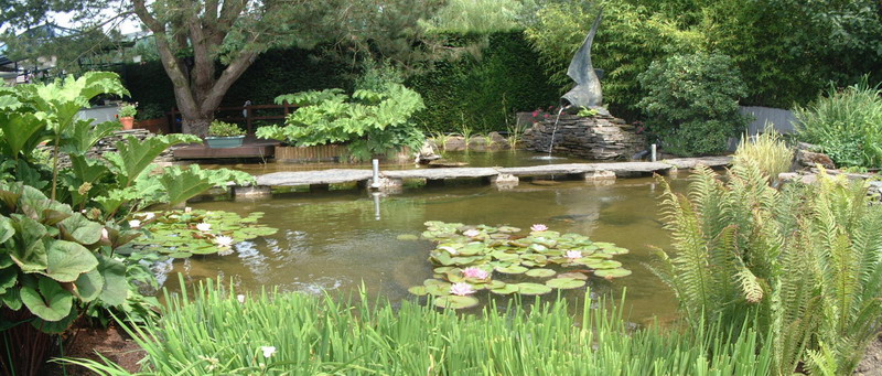 Le jardin aquatique de rve du Condroz - Printemps 2003 3  1 